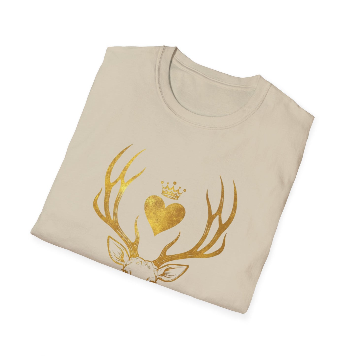 Heir of Fire T-Shirt, Aelin Ashryver Galathynius, Ideal for readers and book geeks, this T-shirt is great for celebrating bookish occasions and gifting to fellow book enthusiasts.