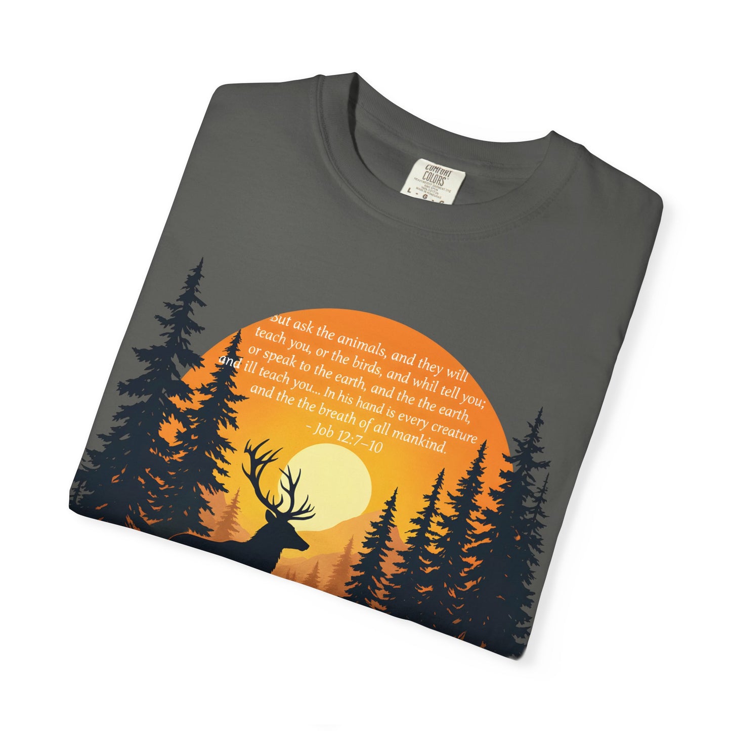 Faith in God and Nature T-shirt, this Christianity shirt makes an ideal addition to your collection of Christian clothes.