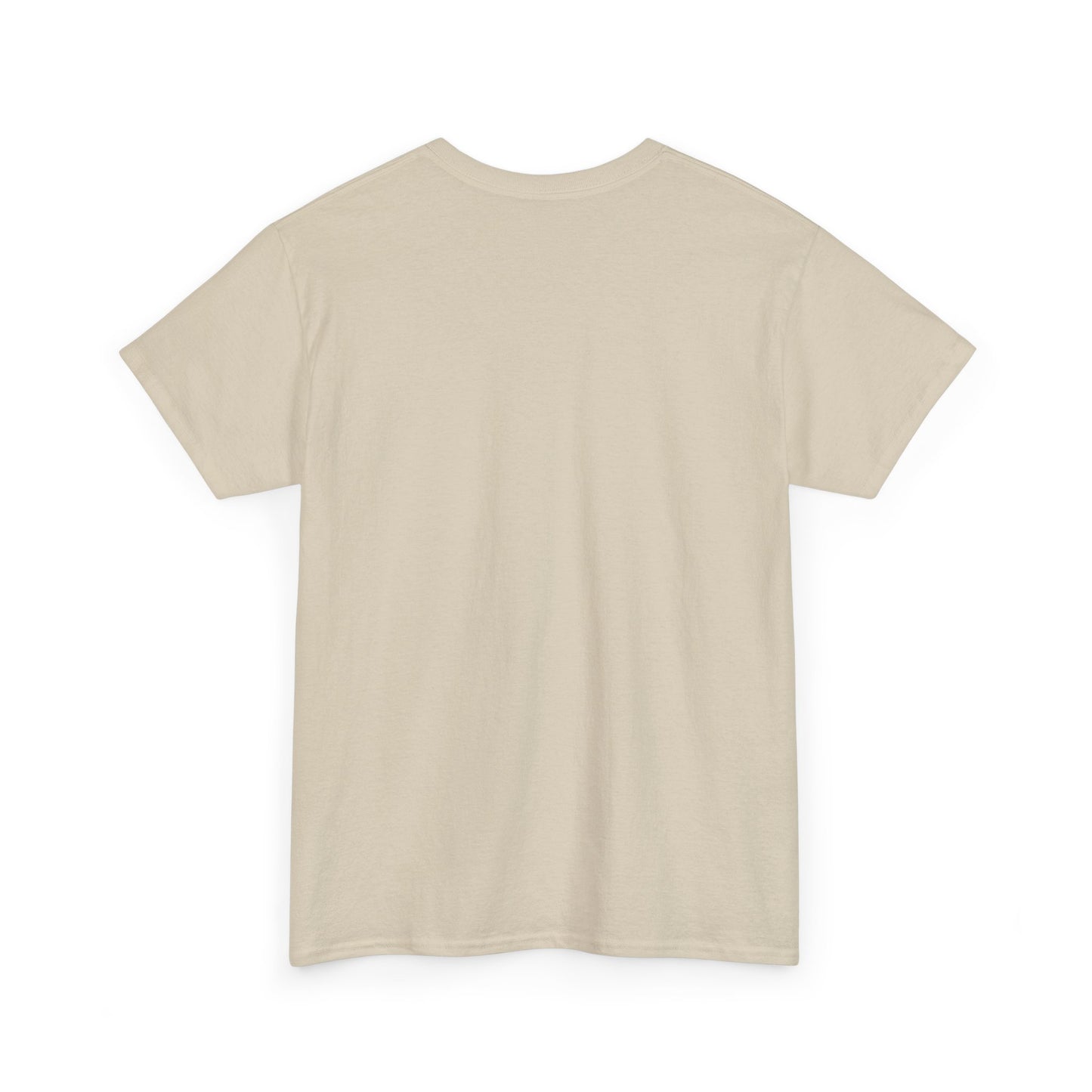 Heir of Fire T-Shirt,Aelin Ashryver Galathynius,Ideal for bookish individuals or as a gift for fellow book enthusiasts