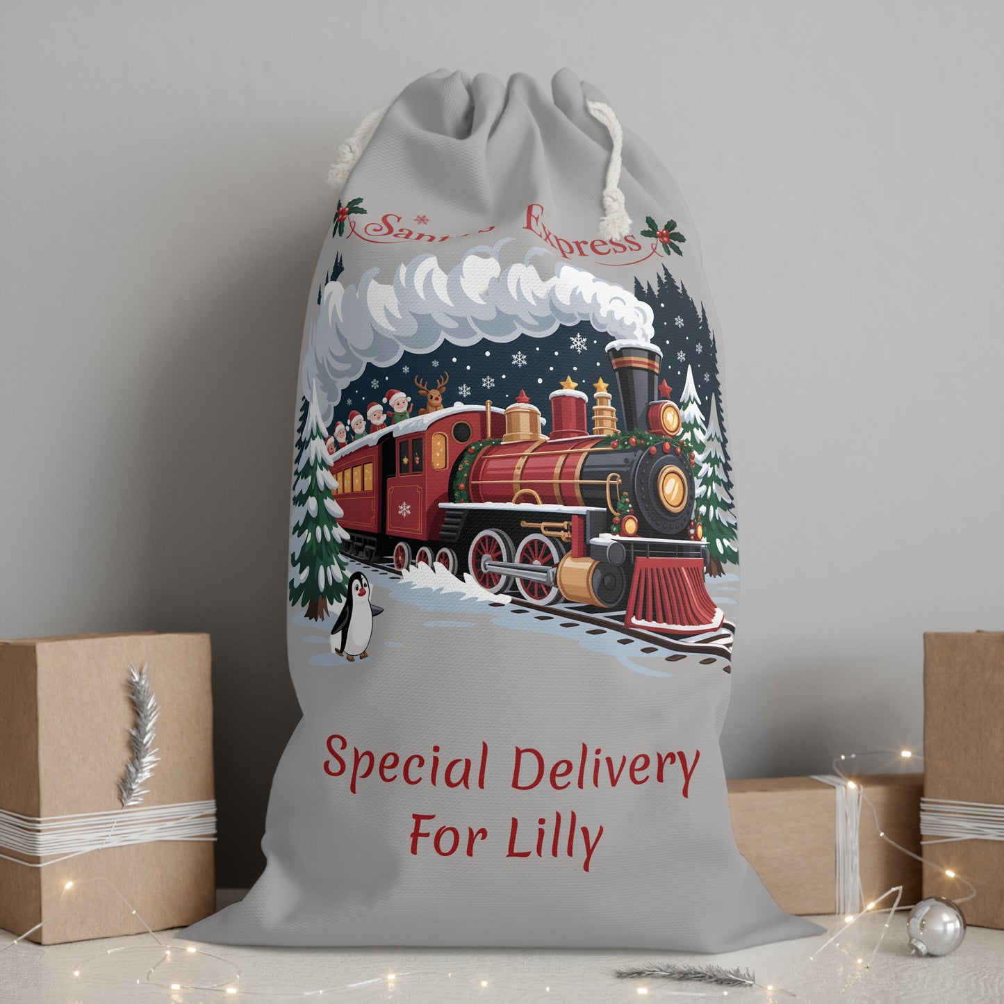 Personalized Santa Express Delivery Christmas Gift Sack, Custom Santa Sack, Xmas Sack, Santa Toy Sack, Santa Gift.