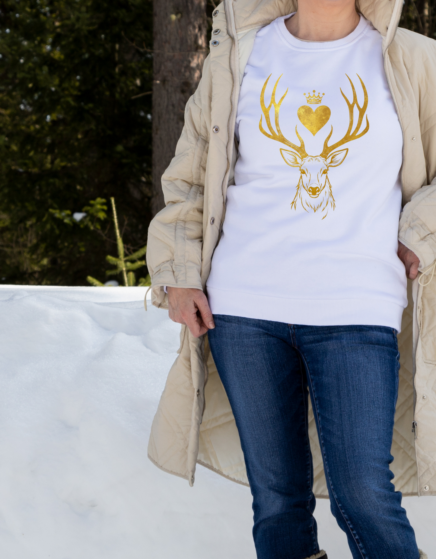 Heir of Fire Sweatshirt, Ideal for readers and book geeks, this sweatshirt is great for celebrating bookish occasions and gifting to fellow book enthusiasts.