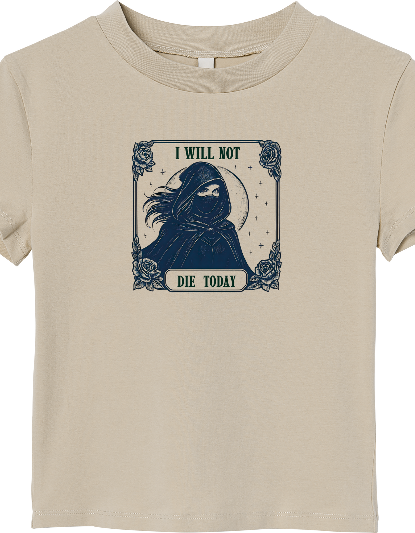 Heir of Fire T-Shirt,Aelin Ashryver Galathynius,Ideal for bookish individuals or as a gift for fellow book enthusiasts