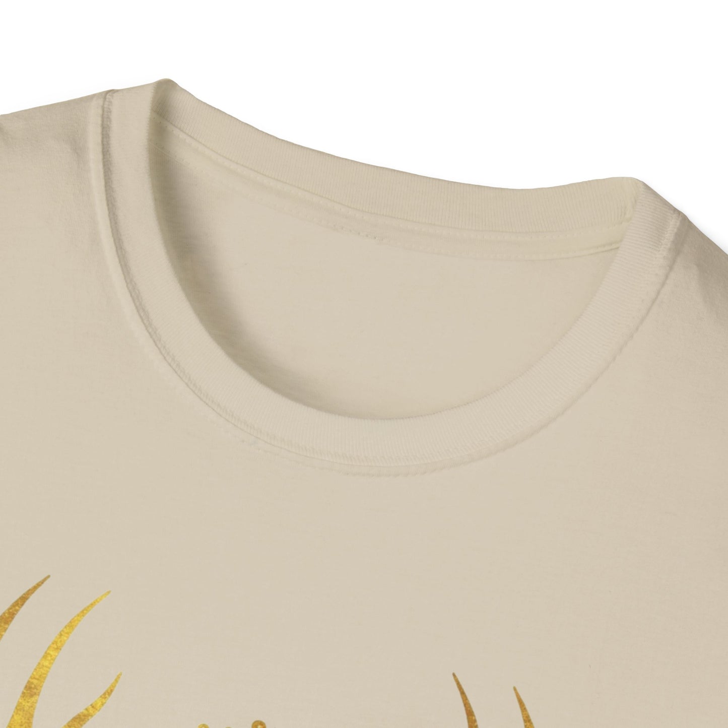 Heir of Fire T-Shirt, Aelin Ashryver Galathynius, Ideal for readers and book geeks, this T-shirt is great for celebrating bookish occasions and gifting to fellow book enthusiasts.