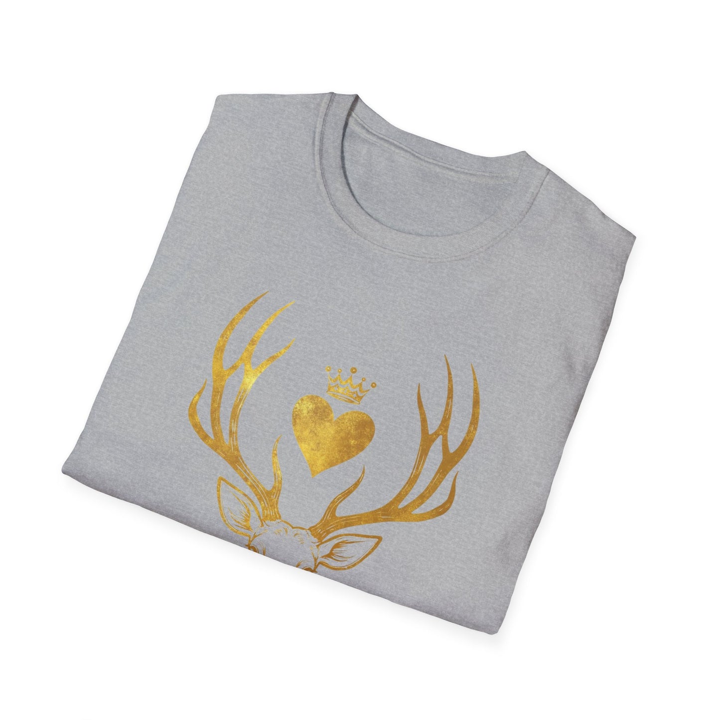 Heir of Fire T-Shirt, Aelin Ashryver Galathynius, Ideal for readers and book geeks, this T-shirt is great for celebrating bookish occasions and gifting to fellow book enthusiasts.