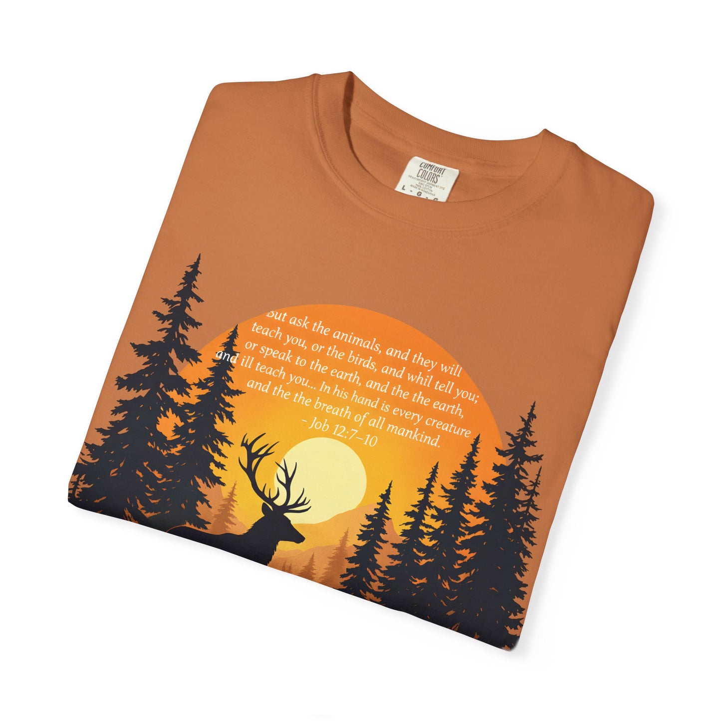Faith in God and Nature T-shirt, this Christianity shirt makes an ideal addition to your collection of Christian clothes.