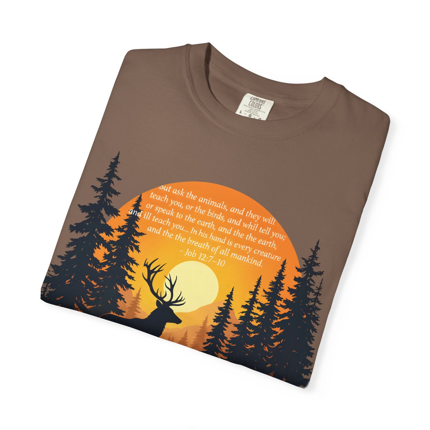 Faith in God and Nature T-shirt, this Christianity shirt makes an ideal addition to your collection of Christian clothes.