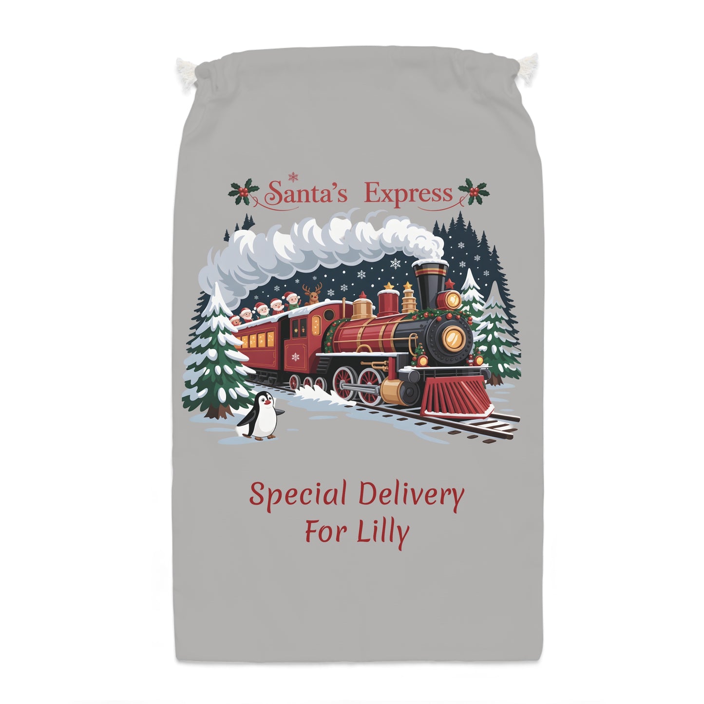 Personalized Santa Express Delivery Christmas Gift Sack, Custom Santa Sack, Xmas Sack, Santa Toy Sack, Santa Gift.