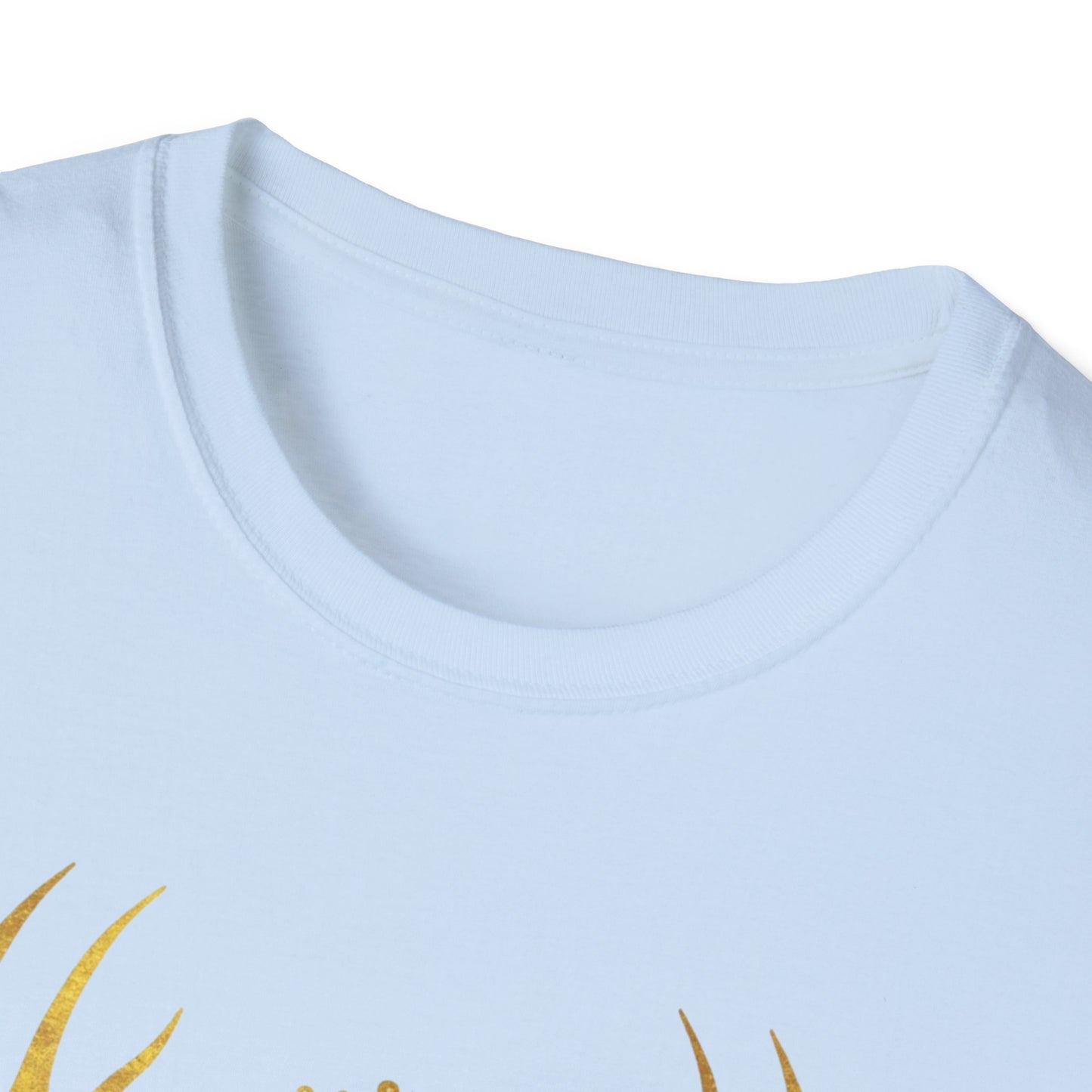 Heir of Fire T-Shirt, Aelin Ashryver Galathynius, Ideal for readers and book geeks, this T-shirt is great for celebrating bookish occasions and gifting to fellow book enthusiasts.