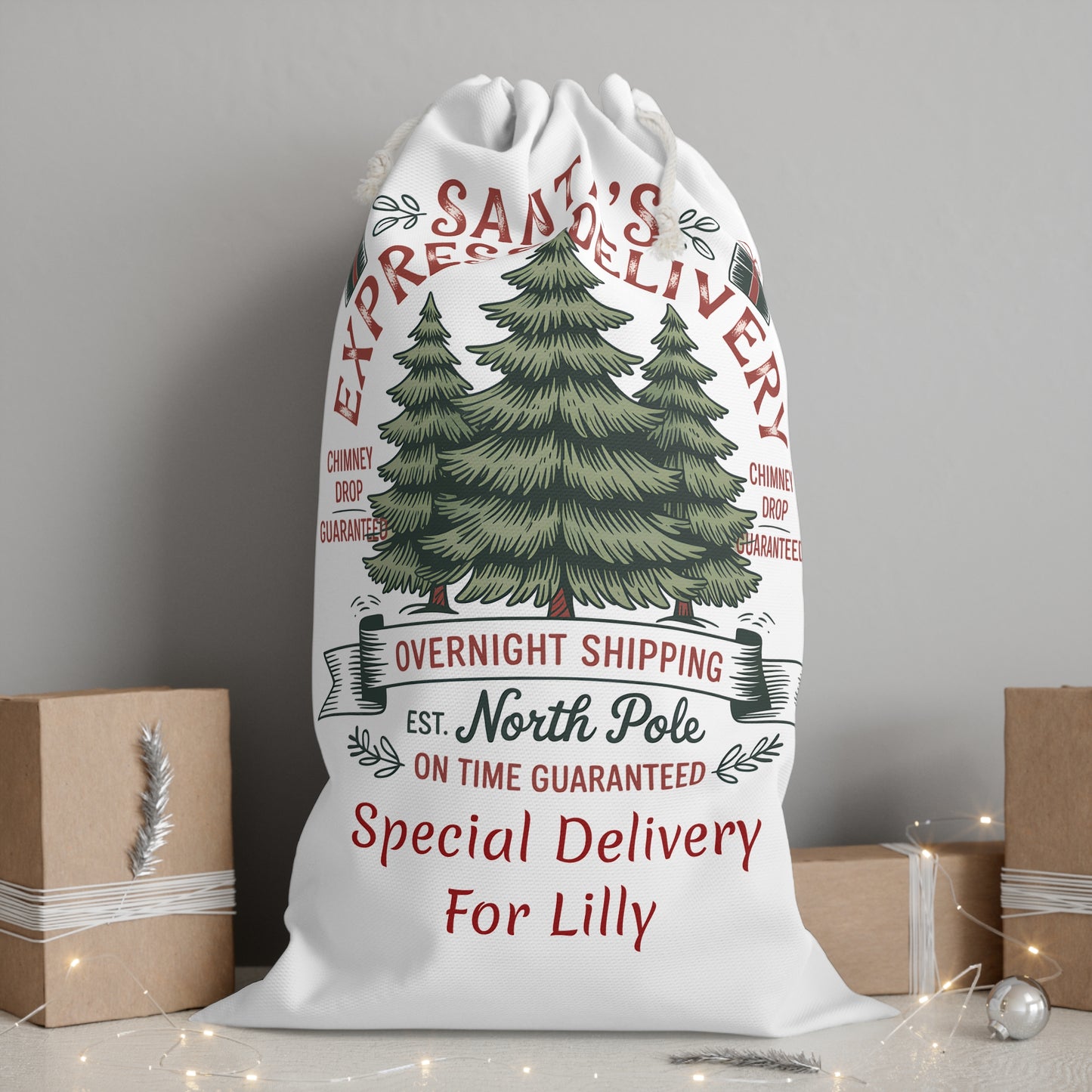 Personalized Santa Express Delivery Christmas Gift Sack, Custom Santa Sack.