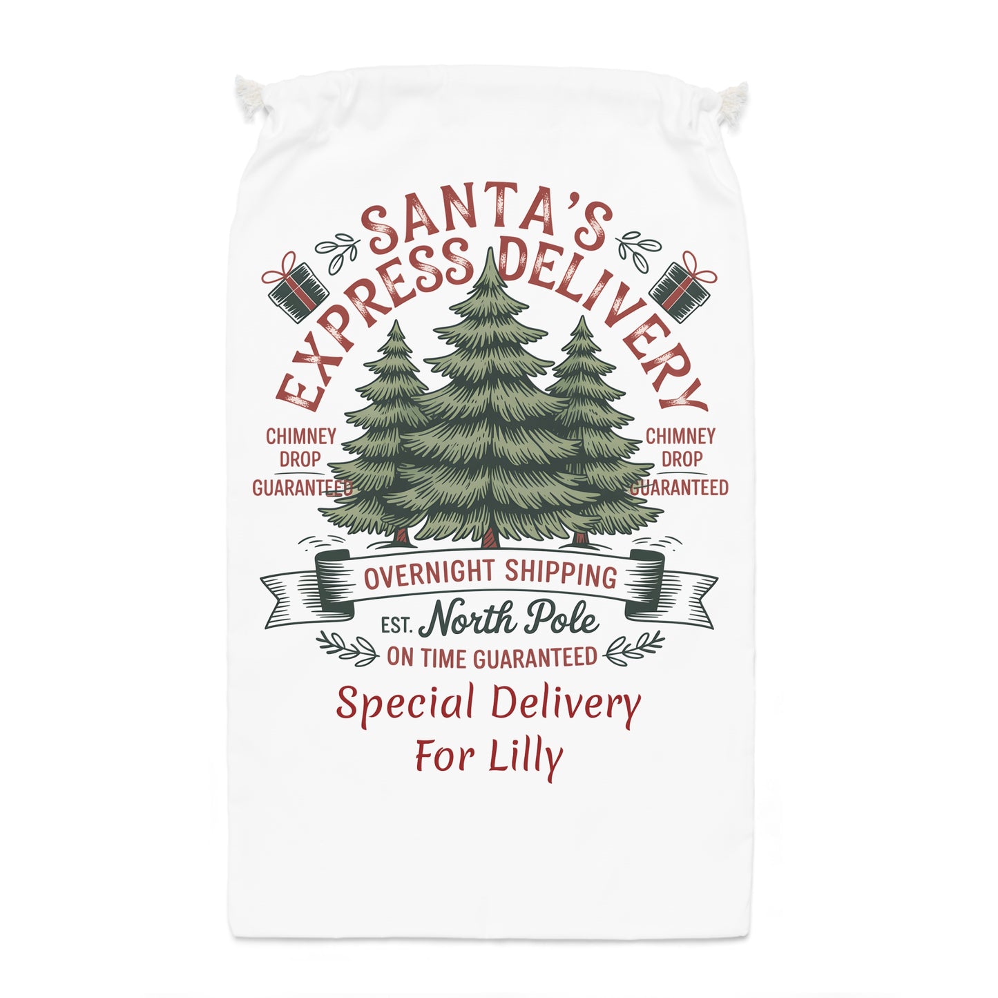 Personalized Santa Express Delivery Christmas Gift Sack, Custom Santa Sack.