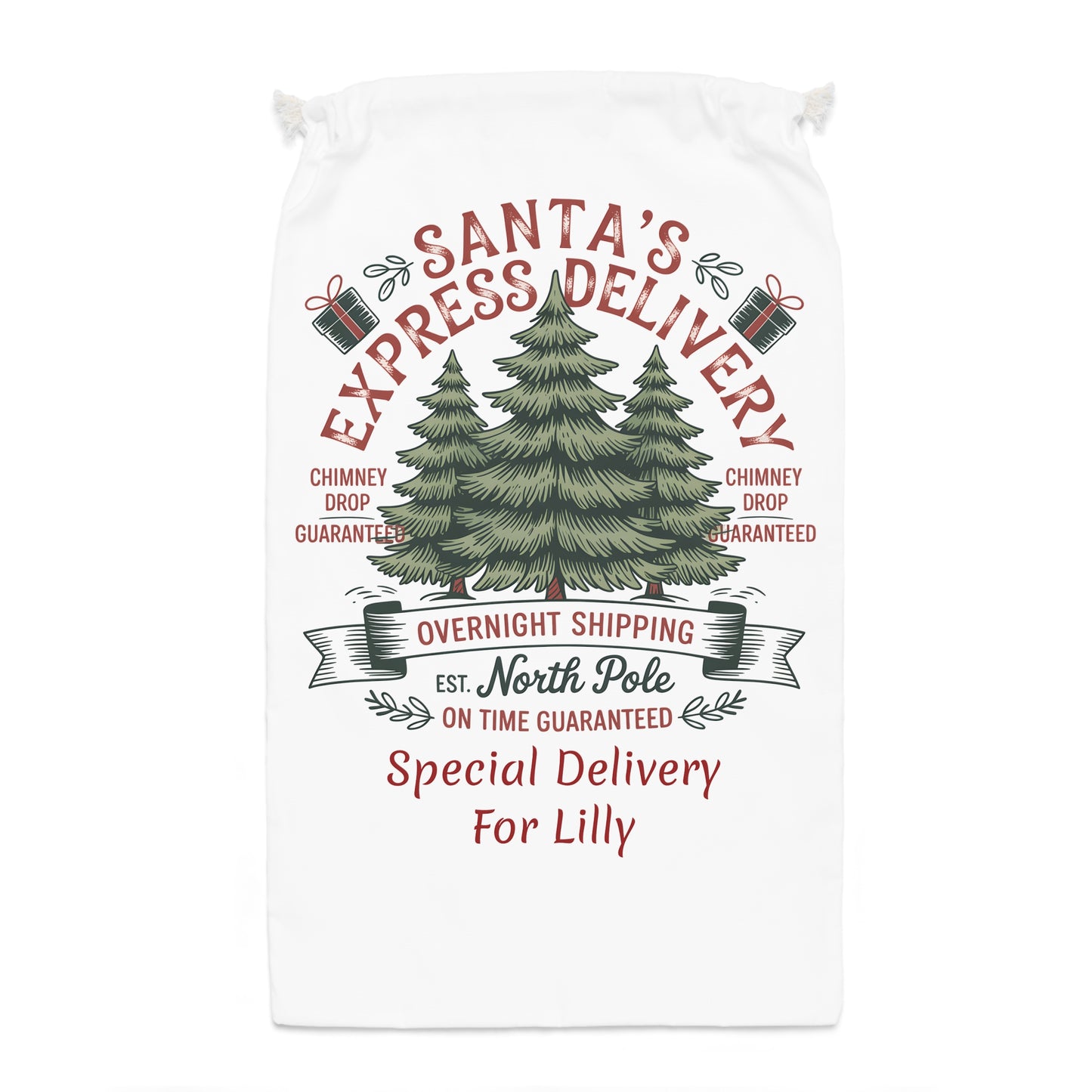 Personalized Santa Express Delivery Christmas Gift Sack, Custom Santa Sack.