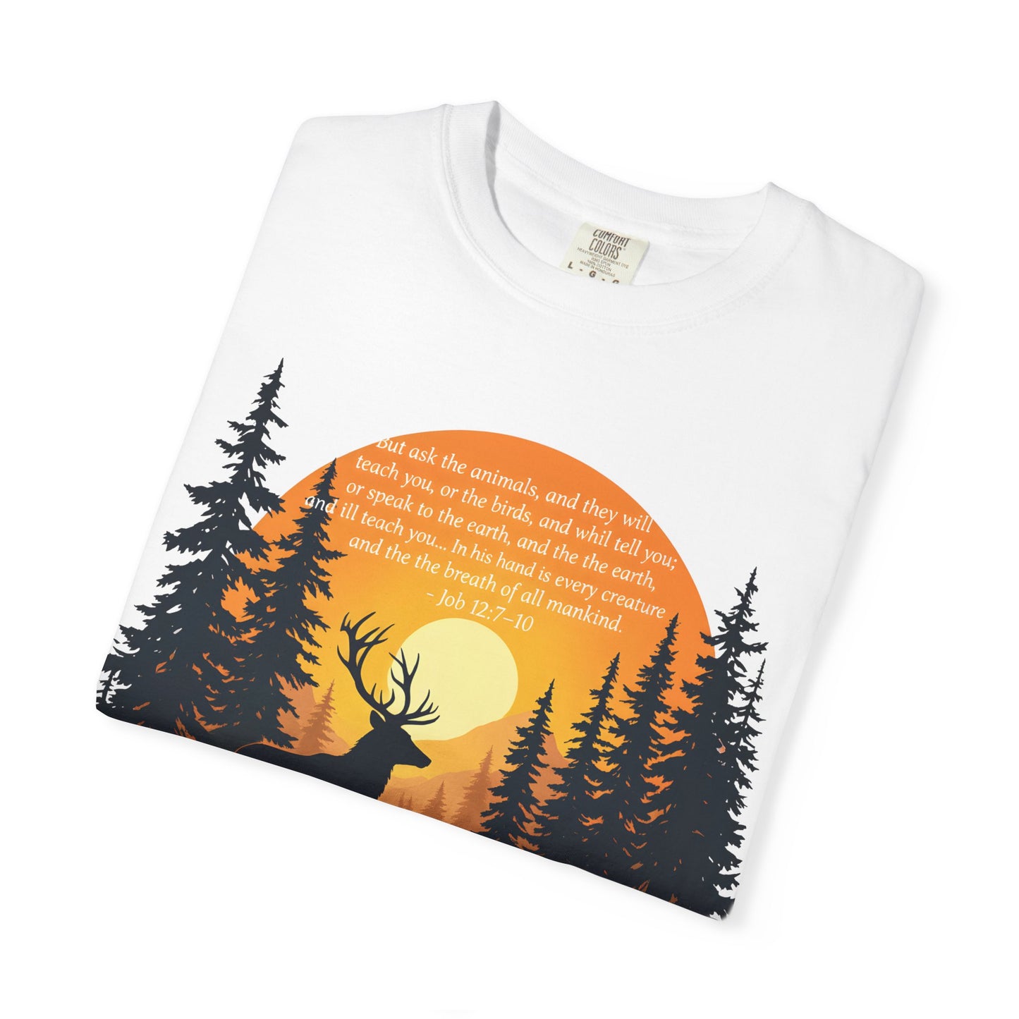 Faith in God and Nature T-shirt, this Christianity shirt makes an ideal addition to your collection of Christian clothes.
