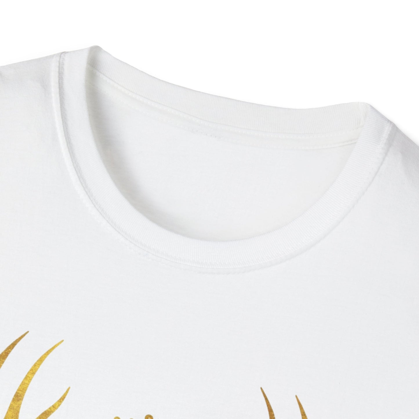 Heir of Fire T-Shirt, Aelin Ashryver Galathynius, Ideal for readers and book geeks, this T-shirt is great for celebrating bookish occasions and gifting to fellow book enthusiasts.