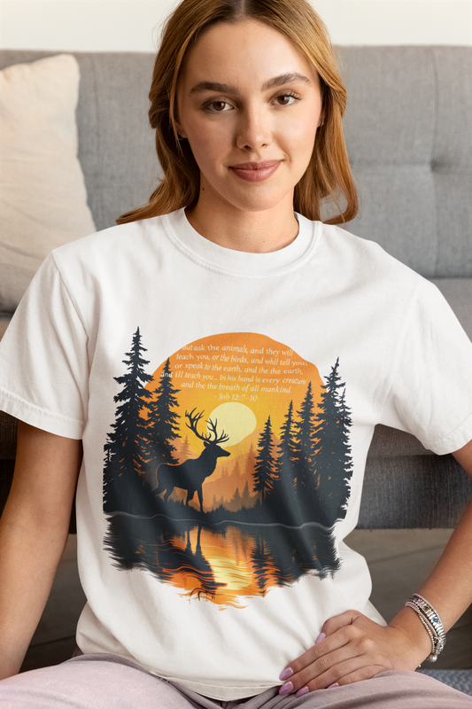 Faith in God and Nature T-shirt, this Christianity shirt makes an ideal addition to your collection of Christian clothes.