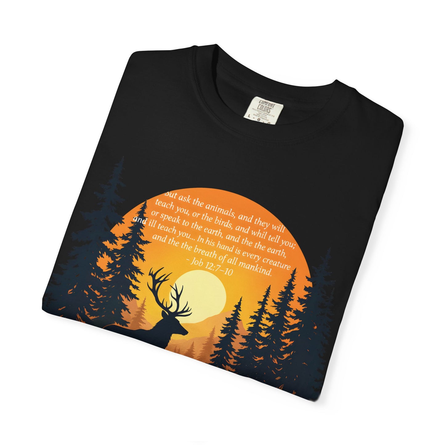 Faith in God and Nature T-shirt, this Christianity shirt makes an ideal addition to your collection of Christian clothes.