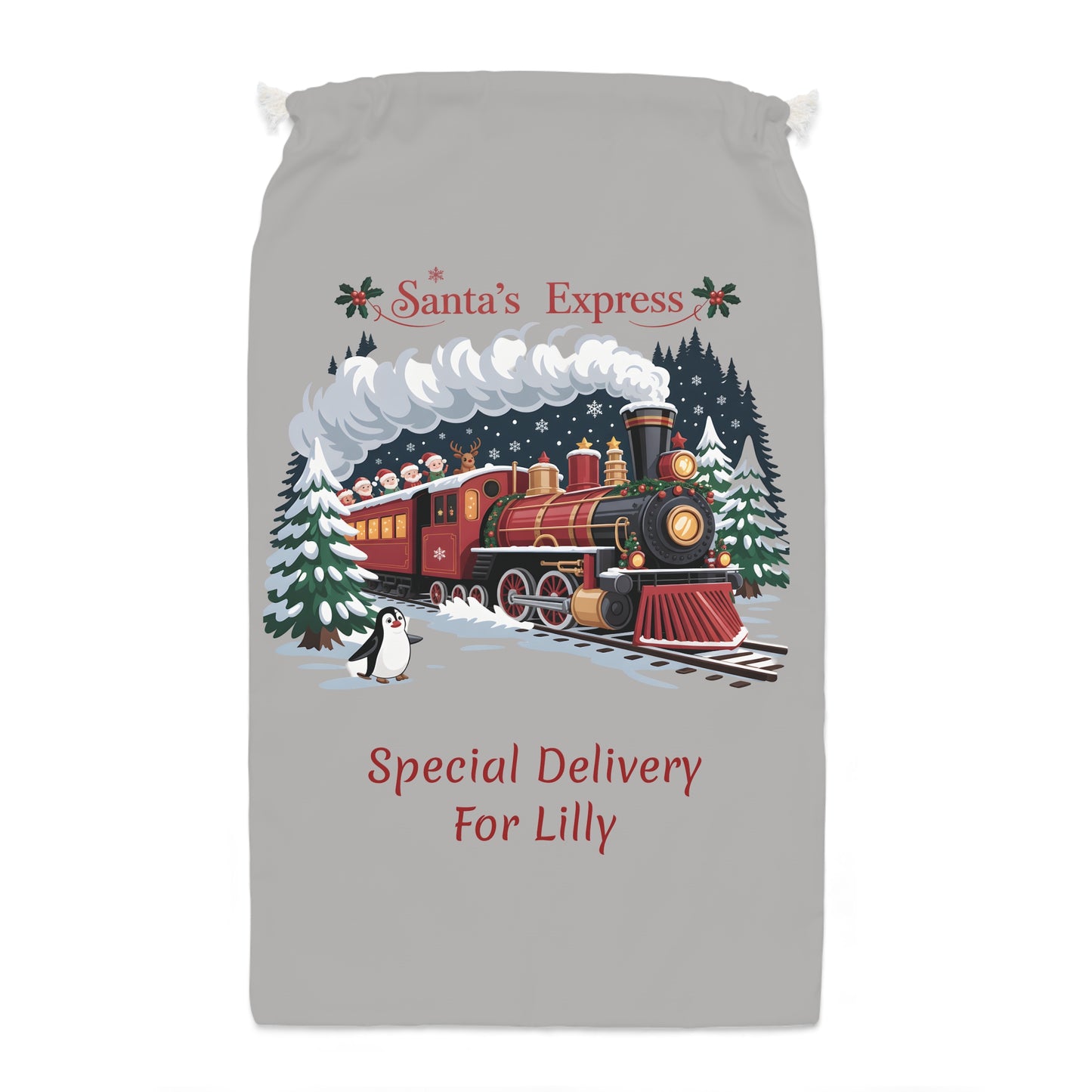 Personalized Santa Express Delivery Christmas Gift Sack, Custom Santa Sack, Xmas Sack, Santa Toy Sack, Santa Gift.