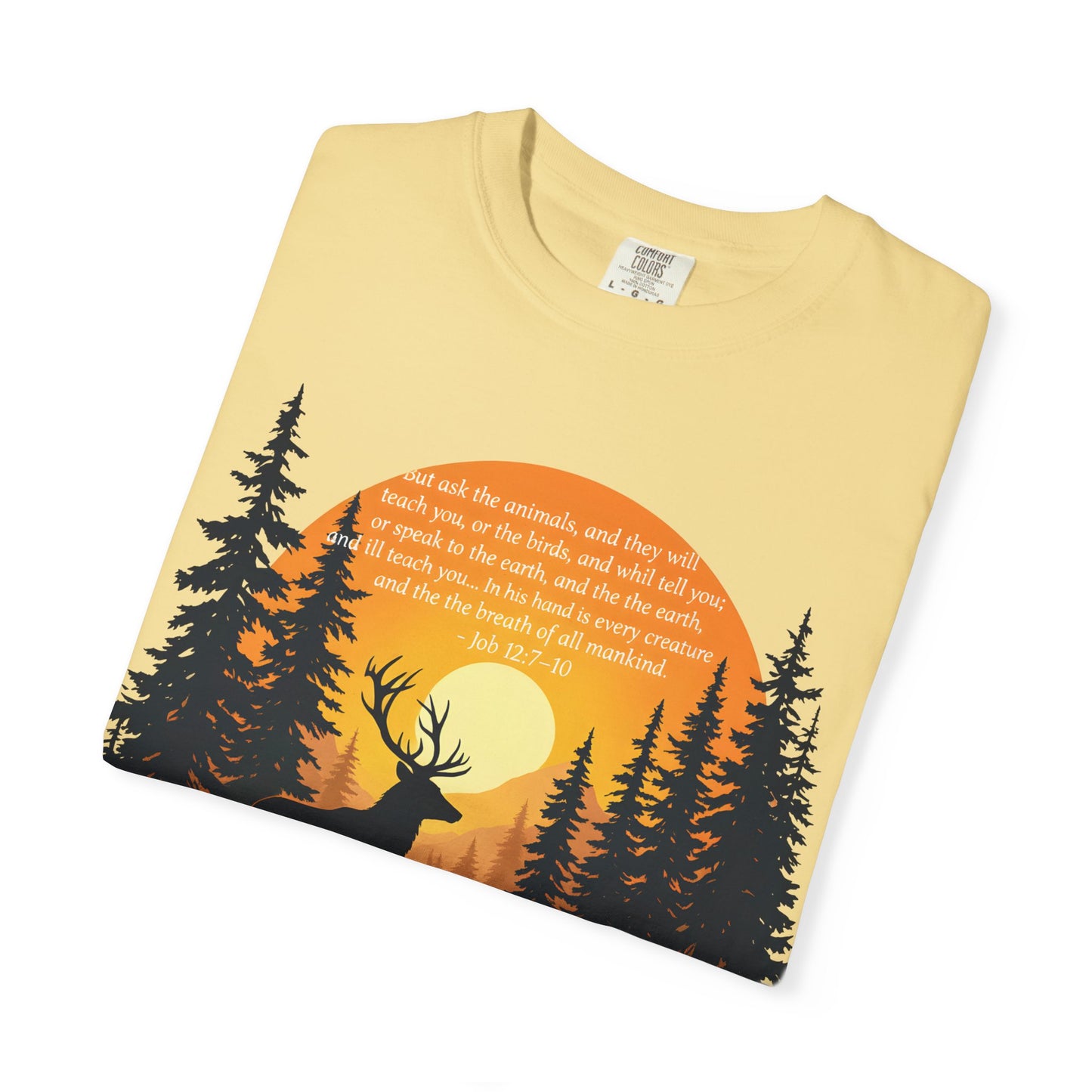 Faith in God and Nature T-shirt, this Christianity shirt makes an ideal addition to your collection of Christian clothes.