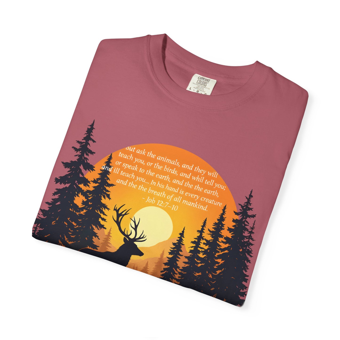 Faith in God and Nature T-shirt, this Christianity shirt makes an ideal addition to your collection of Christian clothes.